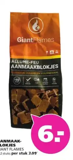 Ranzijn AANMAAK- BLOKJES GIANT FLAMES aanbieding
