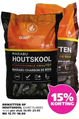 Ranzijn Briketten of houtskool Giant Flames aanbieding