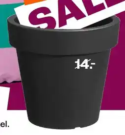 Kwantum Bloempot flores aanbieding