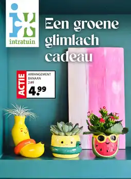Intratuin ARRANGEMENT BANAAN aanbieding