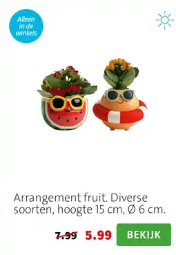 Intratuin Arrangement fruit. Diverse soorten, hoogte 15 cm, Ø 6 cm. aanbieding
