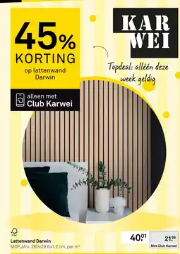 Karwei Lattenwand Darwin aanbieding