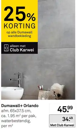 Karwei Dumawall+ Orlando aanbieding