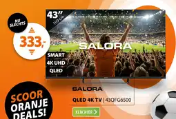 Expert Salora 43QFG6500 aanbieding