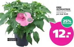 Ranzijn Altheastruik aanbieding