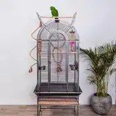 Bol.com Keddoc Vogelkooi Texas - Vogelverblijven - 66x56x175 cm Donkergrijs aanbieding