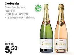 HANOS Codorníu aanbieding