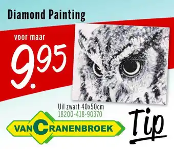 Van Cranenbroek Diamond Painting aanbieding