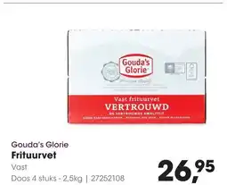 HANOS Gouda's Glorie Frituurvet aanbieding