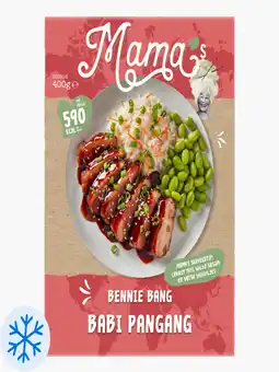 Flink Mama's Maaltijden Babi pangang met rijst aanbieding