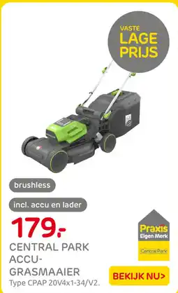Praxis Central park accu- grasmaaier aanbieding
