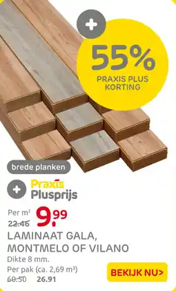 Praxis Laminaat gala, montmelo of vilano aanbieding