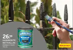 Praxis Hammerite metaallak aanbieding