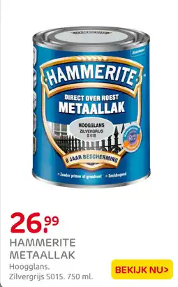 Praxis Hammerite metaallak aanbieding