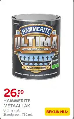 Praxis Hammerite metaallak aanbieding