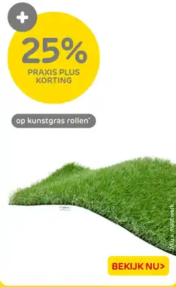 Praxis Op kunstgras rollen aanbieding