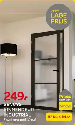 Praxis Sencys binnendeur industrial aanbieding
