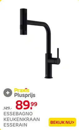 Praxis Essebagno keukenkraan esserain aanbieding
