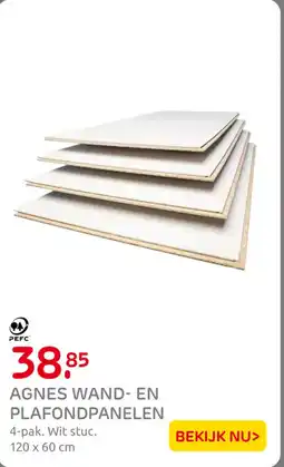 Praxis Agnes wand en plafondpanelen aanbieding