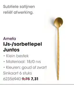 HANOS Amefa IJs-/sorbetlepel Juntos aanbieding