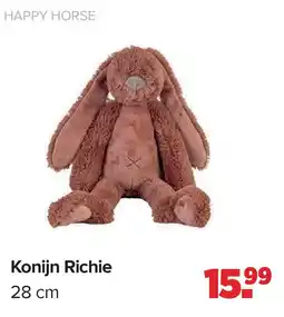 Baby-Dump Konijn Richie aanbieding