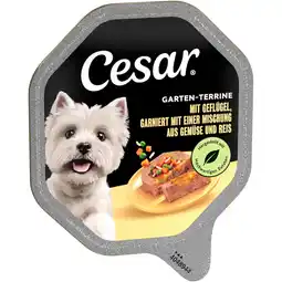 Zooplus Megapack Cesar kuipjes 28 x 150 g - Gevogelte, groente en rijst aanbieding