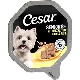 Zooplus 14x150g Cesar Senior 10+ kuipje met kip en rijst nat hondenvoer aanbieding