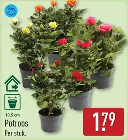 ALDI Potroos aanbieding
