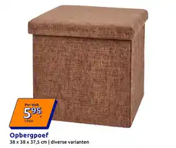 Action Opbergpoef aanbieding