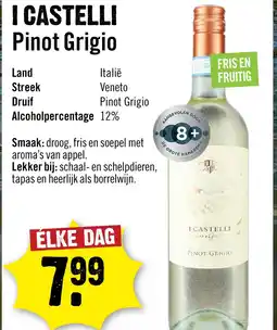 Dirck 3 I Castelli Romeo E Giulietta Pinot Grigio 75 cl aanbieding