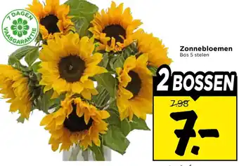 Vomar Voordeelmarkt Zonnebloemen aanbieding