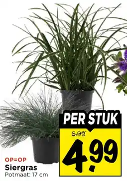 Vomar Voordeelmarkt Siergras aanbieding