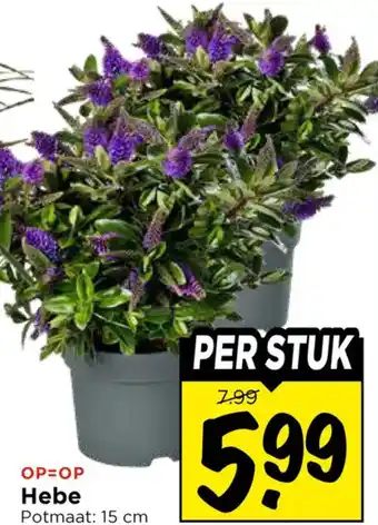 Vomar Voordeelmarkt Hebe aanbieding
