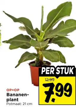 Vomar Voordeelmarkt Bananen plant aanbieding