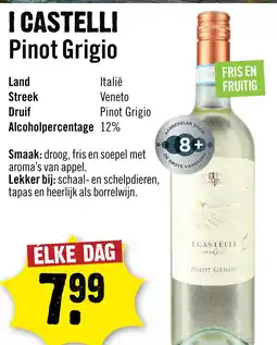 Dirck 3 I castelli pinot grigio aanbieding