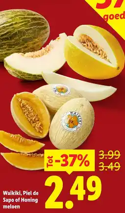 Lidl Waikiki, Piel de Sapo of Honing meloen aanbieding