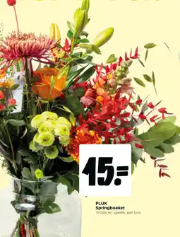 Jumbo Pluk Springboeket aanbieding