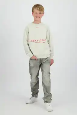 Wehkamp Raizzed straight leg jeans grey denim aanbieding