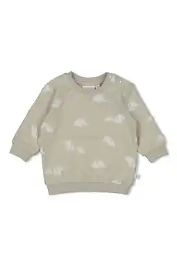 Wehkamp Feetje sweater Elephant mintgroen aanbieding