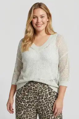 Wehkamp Exxcellent pullover ajour beige aanbieding