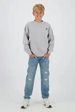 Wehkamp Raizzed sweater met backprint grijs aanbieding