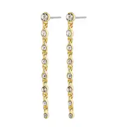 Wehkamp PILGRIM gold plated oorbellen Imogene aanbieding