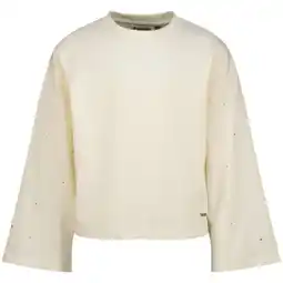 Wehkamp Raizzed longsleeve beige aanbieding