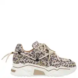 Wehkamp DWRS Jupiter Studs chunky leren sneakers met panterprint beige/zwart aanbieding