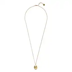 Wehkamp A Beautiful Story ketting Oval Locket goudkleurig aanbieding