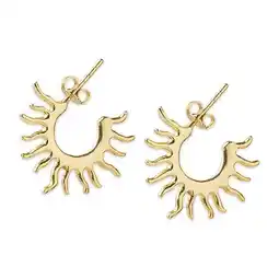 Wehkamp A Beautiful Story gold plated oorbellen Fierce aanbieding