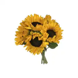Albert Heijn AH Zonnebloemen aanbieding