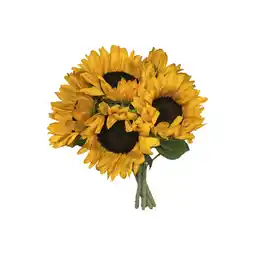 Albert Heijn AH Zonnebloemen aanbieding