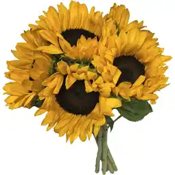 Albert Heijn AH Zonnebloemen aanbieding