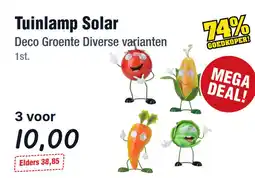 Budget Food Tuinlamp Solar Deco Groente Diverse varianten aanbieding